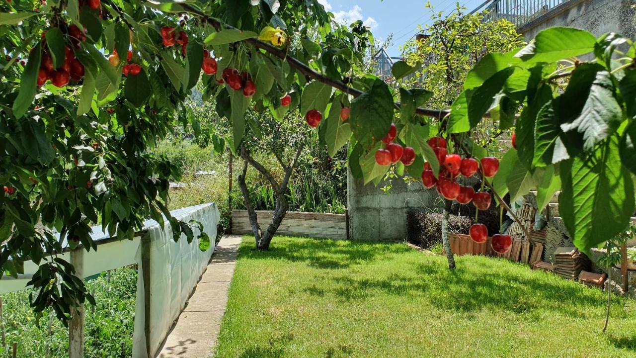 Къща За Гости Солакови ** Devin Exterior foto