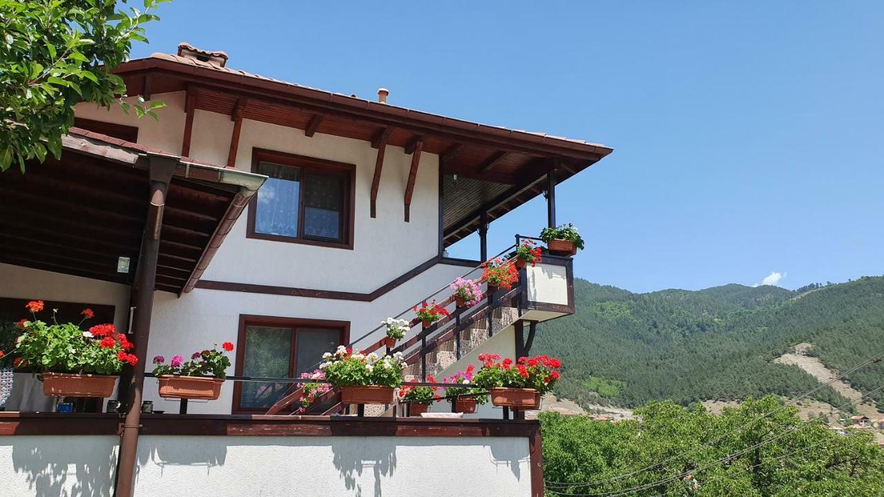 Къща За Гости Солакови ** Devin Exterior foto